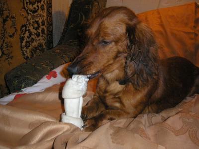 Прикрепленное изображение: P3100011.JPG